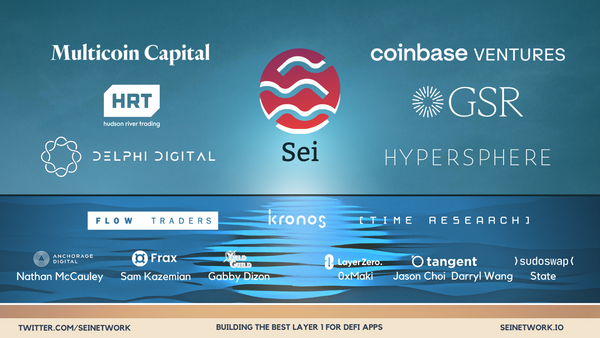 Sei Raises $5M Led by Multicoin Capital to Build The First Layer 1 Blockchain Optimized for DeFi